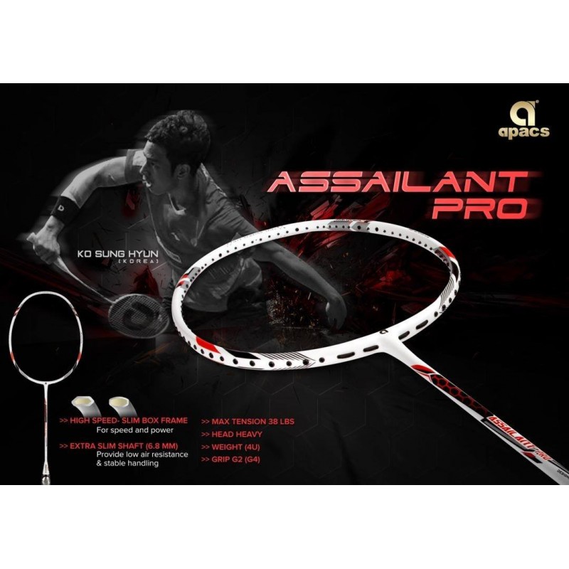 apacs ASSAILANT PRO 4U 2本-